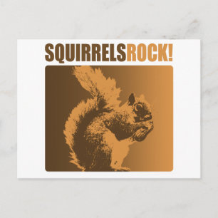 Squirrels Rock! Postcard