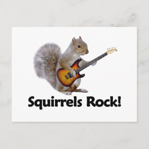 Squirrels Rock! Postcard