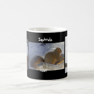 Squirrels Rule! Coffee Mug