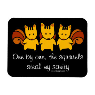 Squirrels steal my sanity magnet