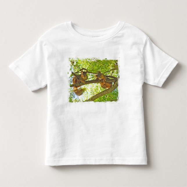 Squirrels watching child's t-shirt (Front)