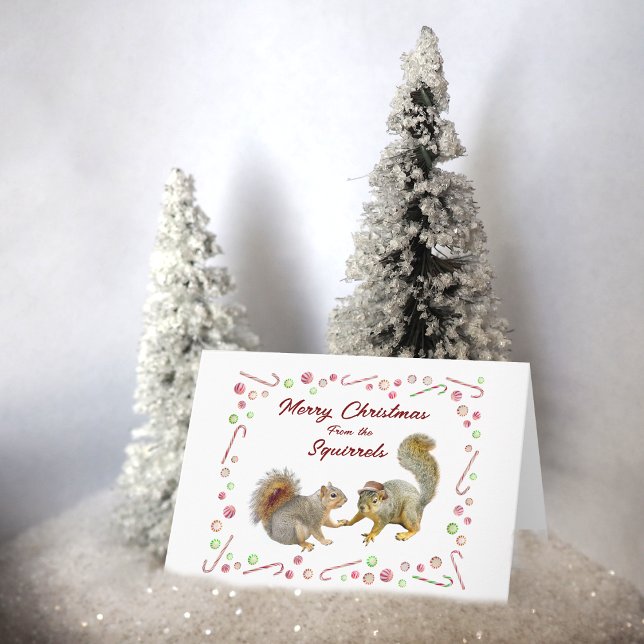 Squirrels with Peppermint Candy Christmas Card (Creator Uploaded)