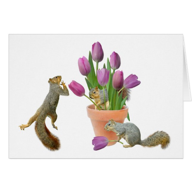 Squirrels with Tulips Card (Front Horizontal)