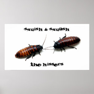 Squish & Squash, The Hissers Poster