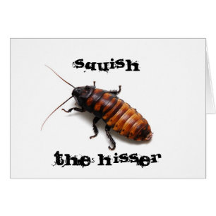 Squish the Hisser