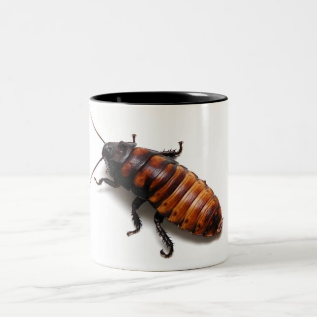 Squish the Hisser Two-Tone Coffee Mug (Center)