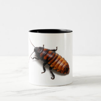 Squish the Hisser Two-Tone Coffee Mug