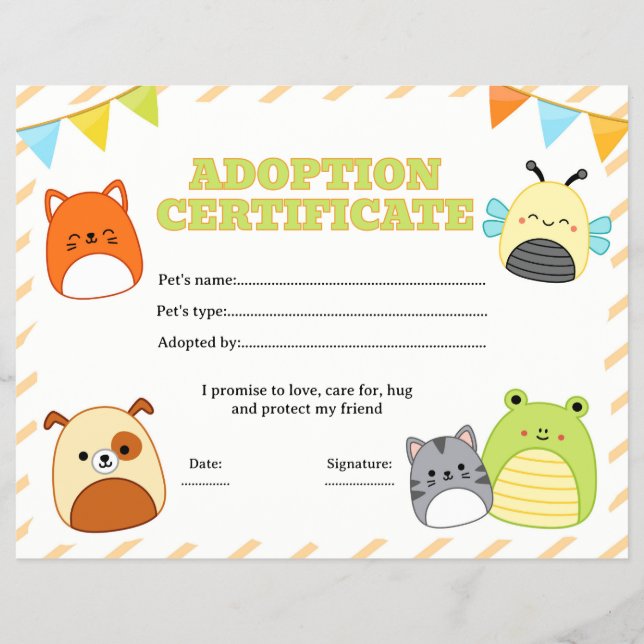 squishmallow adoption certificate editable flyer (Front)