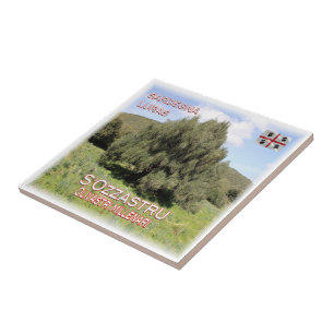 SRD007 LURAS Millennial Olive Trees, Ceramic Tile