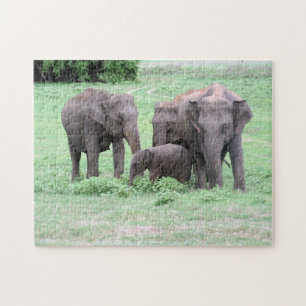 sri lanka elephants jigsaw puzzle
