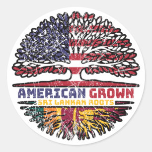 Sri Lanka Sri Lankan US American USA United States Classic Round Sticker