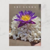 Sri Lanka temple flower offering postcard