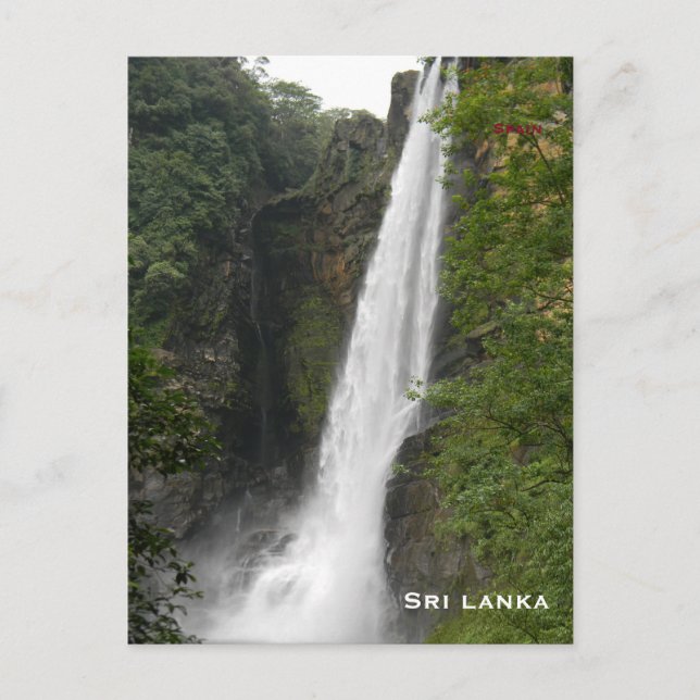 Sri lanka Vintage Travel Tourism Add Postcard (Front)