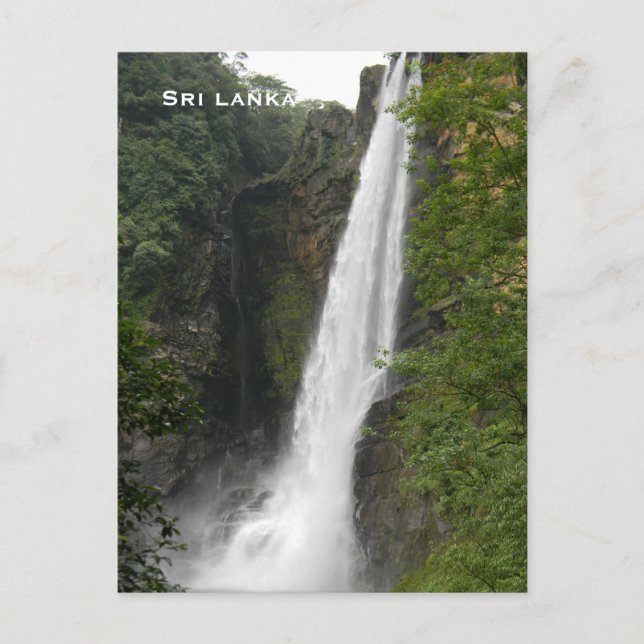 Sri lanka Vintage Travel Tourism Add Postcard (Front)