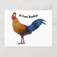 Sri Lankan junglefowl bird cartoon illustration 