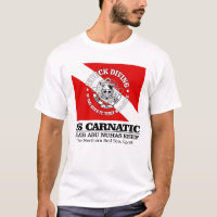 SS Carnatic (best wrecks)