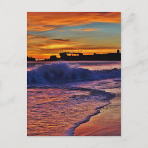 SS Palo Alto. Postcard