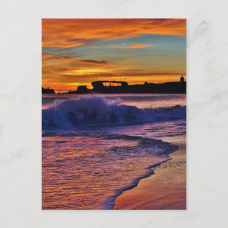 SS Palo Alto. Postcard