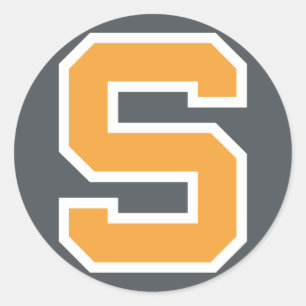 SSK 2016 Round Gray Background Classic Round Sticker