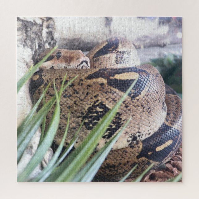 Sssnooze Puzzle (Vertical)