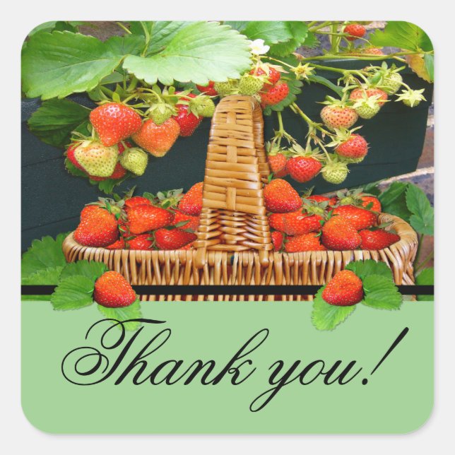 Sstrawberry Basket  ~Thank You  Square Sticker (Front)