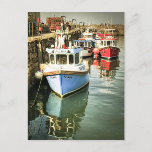 St Andrews Harbour Postcard