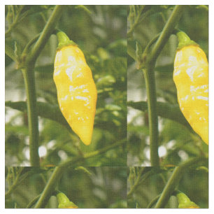 ST. AUGUSTINE DATIL PEPPER FABRIC