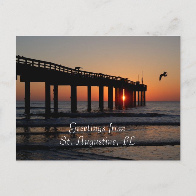 St. Augustine, FL Greetings Postcard (Front)