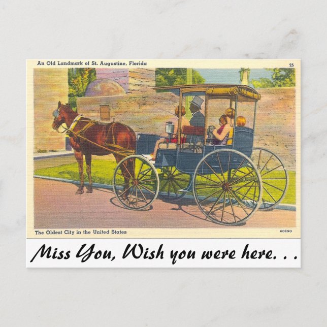 St. Augustine, Florida Postcard (Front)