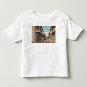 St. Augustine, Florida - View of Charlotte St Toddler T-Shirt