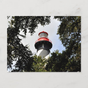St. Augustine Lighthouse Top Framed by Oak Trees Postcard