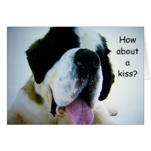 ST. BERNARD ASKS "HOW ABOUT A KISS" (ROMATIC PUP)
