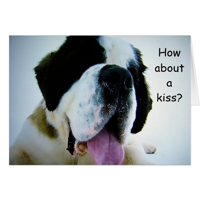 ST. BERNARD ASKS "HOW ABOUT A KISS" (ROMATIC PUP) (Front Horizontal)