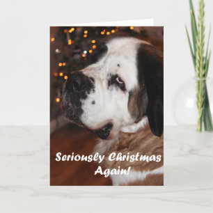 St Bernard Christmas greeting card