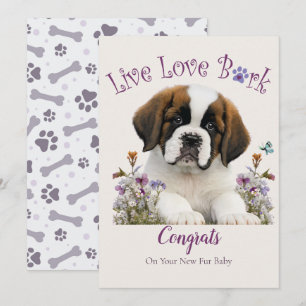 St. Bernard Dog Adoption, Gotcha Day Card