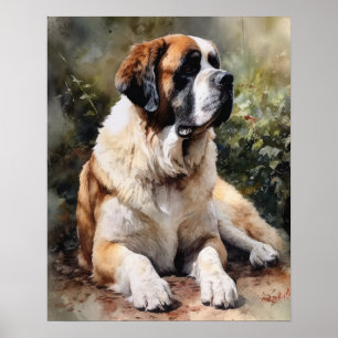 St. Bernard Dog Art Print Poster