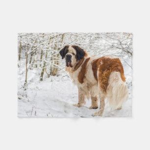 St Bernard dog fleece blanket