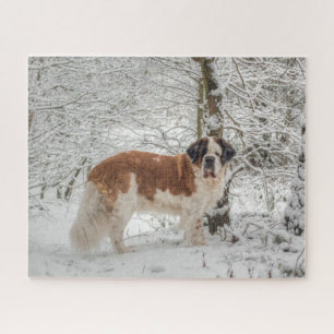 St Bernard dog in the snow Jigsaw Puzzle