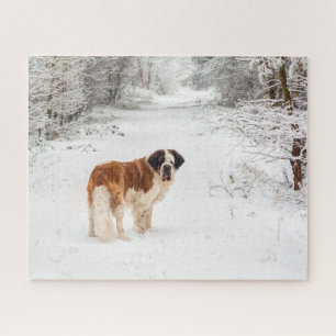 St Bernard dog in the snow Jigsaw Puzzle