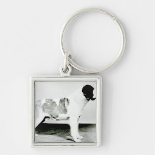St. Bernard Dog Key Ring