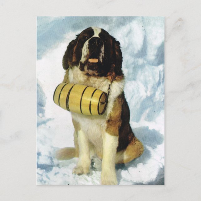 St Bernard dog, Mountain Rescue Postcard (Front)