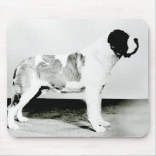 St. Bernard Dog Mouse Pad