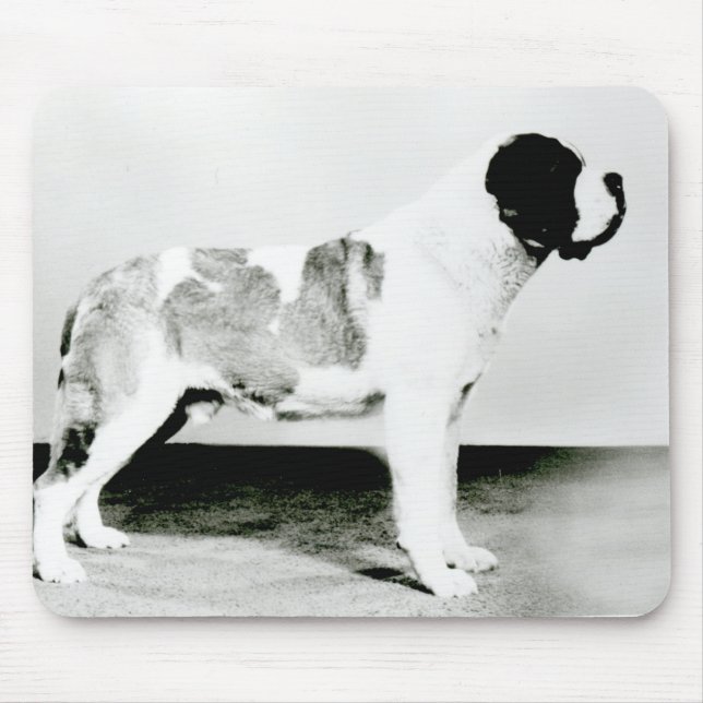 St. Bernard Dog Mouse Pad (Front)