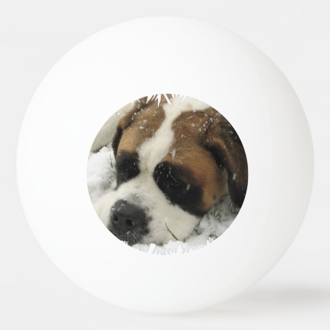 St Bernard Dog Ping Pong Ball (Front)