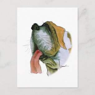 st bernard dog, tony fernandes postcard