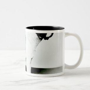St. Bernard Dog Two-Tone Coffee Mug