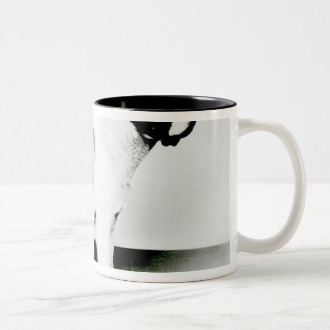 St. Bernard Dog Two-Tone Coffee Mug (Right)
