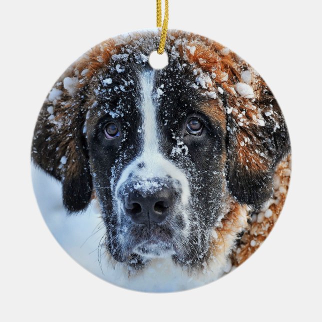 St Bernard in the Snow Ceramic Ornament (Front)