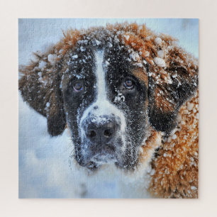 St Bernard in the Snow Jigsaw Puzzle