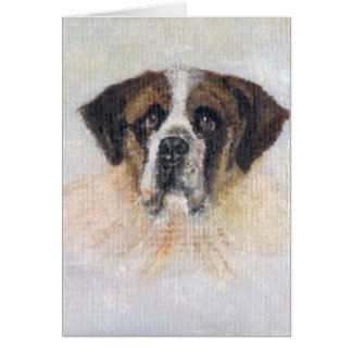 St Bernard Lucy